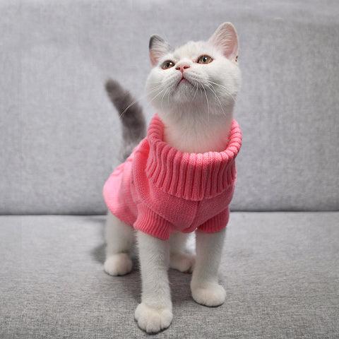 Pet Dog Cat Clothing Winter Autumn