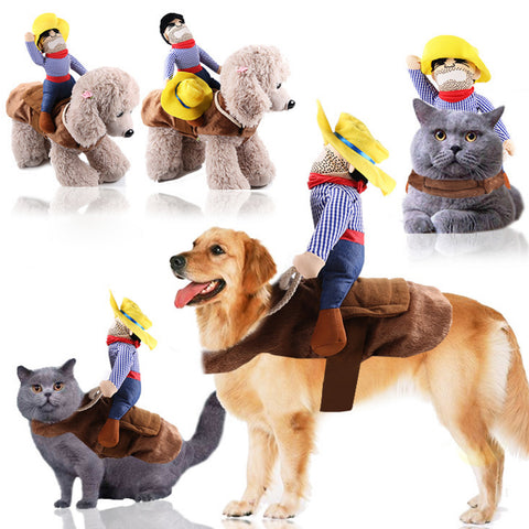 Dog clothes cat pet supplies