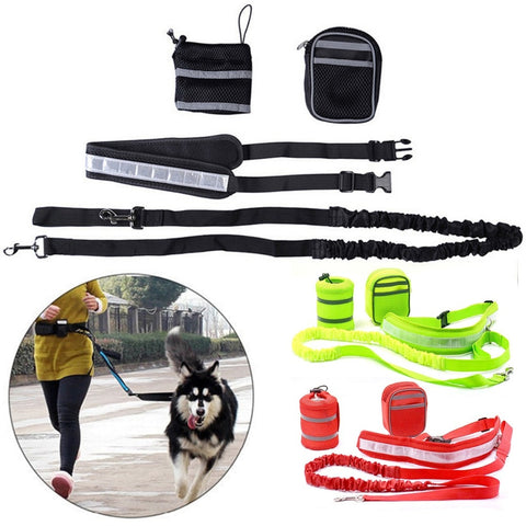 Pet Sports Kit Cat Dog Hands Free