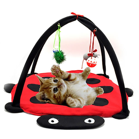 Funny Pet Cat Toys Portable Cat